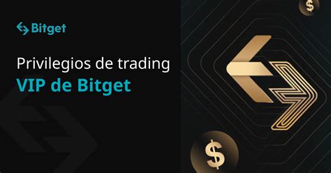 Trading Strategy, ERC-20, Bitget
