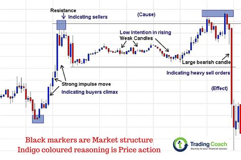 Bull Market, Price Action, Optimism (OP)
