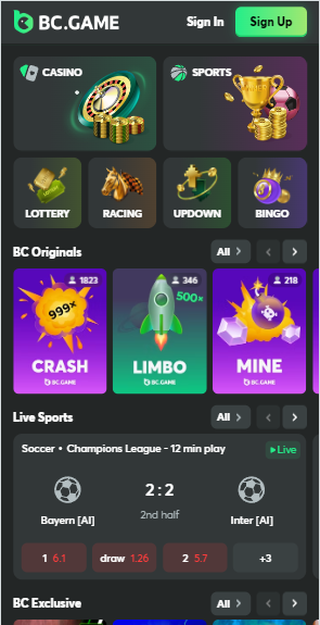 Explore the Best BC Game Payment Options Available