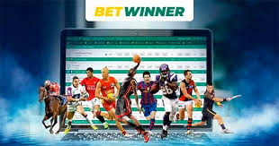 Discover the Reliable BetWinner Your Ultimate Betting Guide
