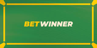 Essential Guide to Successful Sports Betting