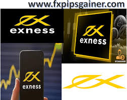 Understanding the Exness Broker Your Gateway to Online Trading