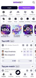 Казино әлемі бонуспен казино туралы барлық нәрсе