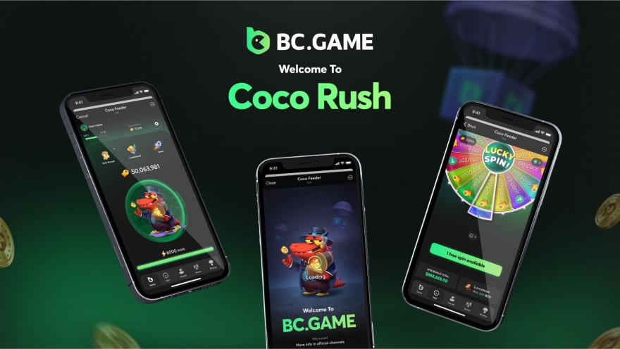 Exploring the Dynamics of Hack Hash Game